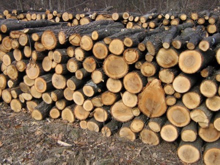 Продам дрова. Сосна, береза, ольха, дуб. Попилим,порубим.. . фото 2