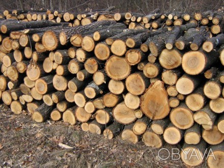 Продам дрова. Сосна, береза, ольха, дуб. Попилим,порубим.. . фото 1