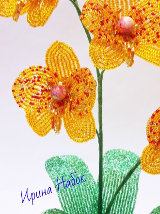 Орхидея Фаленопсис из чешского бисера. Высота композиции - 36 см. возможен повто. . фото 4
