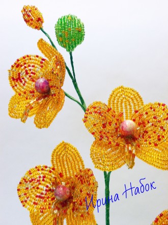 Орхидея Фаленопсис из чешского бисера. Высота композиции - 36 см. возможен повто. . фото 3