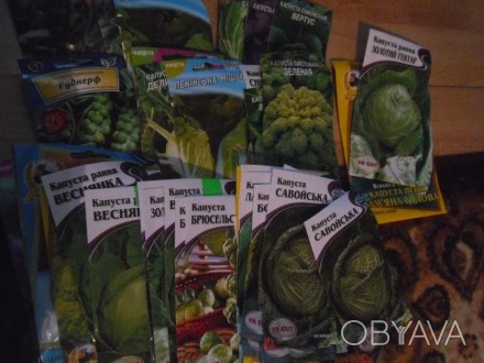 В продаже семена разных сортов капусты.Цены от 2-х грн.. . фото 1