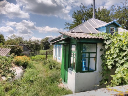Дом в с. Локнистое Менского р-на, Черниговской области, в 27 км от Чернигова. До. . фото 3