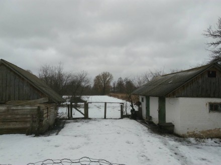 Дом в с. Локнистое Менского р-на, Черниговской области, в 27 км от Чернигова. До. . фото 7
