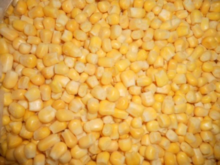 Заморожене бланшироване зерно цукрової кукурудзи в мішках по 25 кг. Доставки по . . фото 2