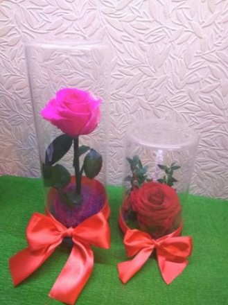Хотим предложить вам розу в колбе!прекрасный подарок девушке на 8 марта или день. . фото 3