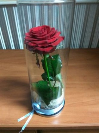 Хотим предложить вам розу в колбе!прекрасный подарок девушке на 8 марта или день. . фото 2