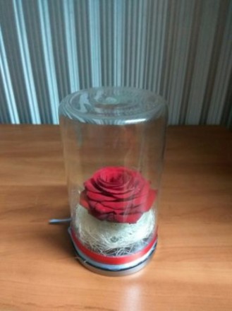 Хотим предложить вам розу в колбе!прекрасный подарок девушке на 8 марта или день. . фото 4