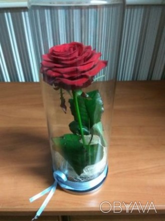Хотим предложить вам розу в колбе!прекрасный подарок девушке на 8 марта или день. . фото 1