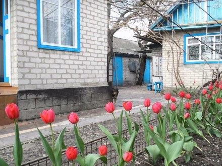 Продаётся приватизированный участок в Старобельске с жилым домом, хозпостройками. . фото 5