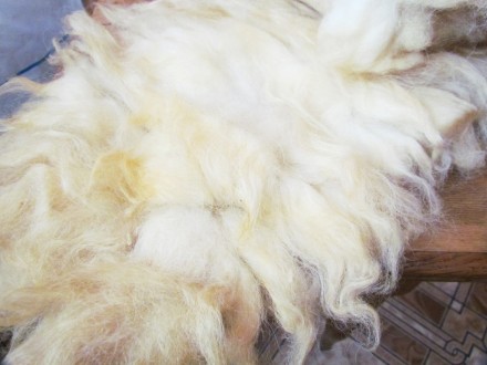 Если Вы хотите купить очень теплую натуральную овчину, красивый и качественный м. . фото 3