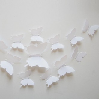 Бабочки для декора, материал - плотный пластик.

Бабочки однотонные с глянцевы. . фото 9
