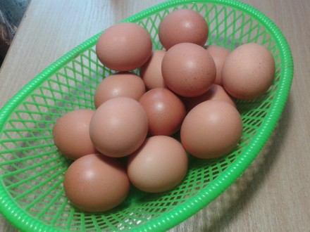 Продам инкубационные яйца от кур " Ломан-Браун"

Яйца имеют средний размер, их. . фото 3