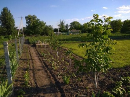 продам участок (10 соток, 25х40) під забудову, по вул. Стеценка, держ. акт, та т. . фото 5