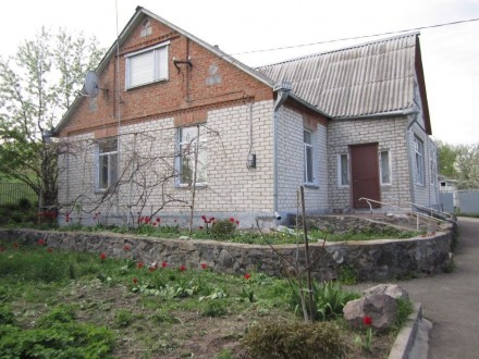 Продаю велику земельну ділянку(0,82га) в селі Тростинка Васильківського району К. . фото 3