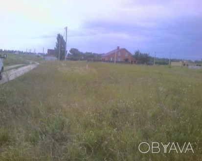 Земельный участок 15 соток (25*60) под жилую застройку в с. Петровское, Бориспол. . фото 1
