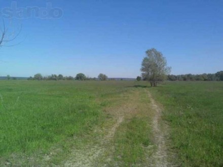 Осокорки, Гнединский сельский совет, впереди первого шлюза две равные земельные . . фото 4