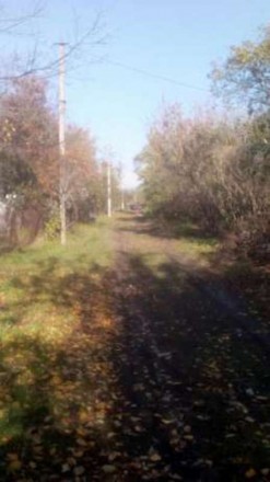 Земельный участок 25 соток в с. Рогозов, Бориспольского р-на, 10 км от Борисполя. . фото 2