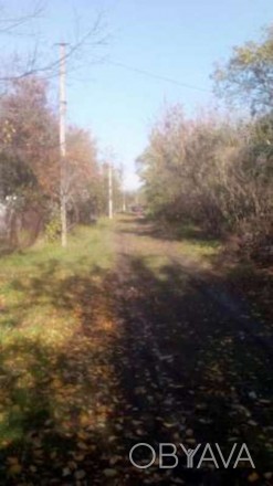 Земельный участок 25 соток в с. Рогозов, Бориспольского р-на, 10 км от Борисполя. . фото 1