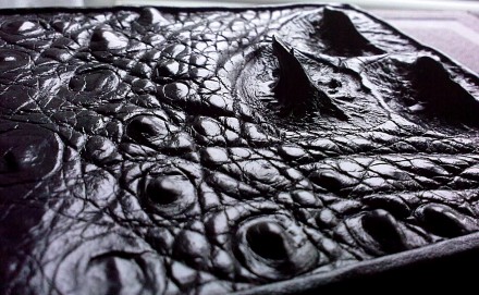GATOR BLACK - №1

Портмоне 100% изготовлено из кожи американского аллигатора.
. . фото 4