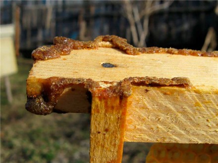 Наш сайт: www.api.kharkov.ua
Изготовленный на основе продуктов пчеловодства и л. . фото 6
