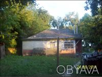 4 комнатный дом 76 м2   в селе Жуковка Куликовского района Черниговской области . Жуковка. фото 4