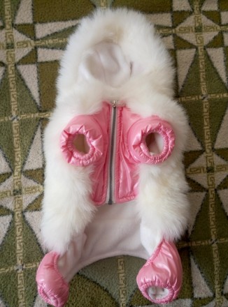 Продам Зимний пуховик-куртка, для собачки мелкой породы, для девочки. Состояние . . фото 3