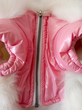 Продам Зимний пуховик-куртка, для собачки мелкой породы, для девочки. Состояние . . фото 4
