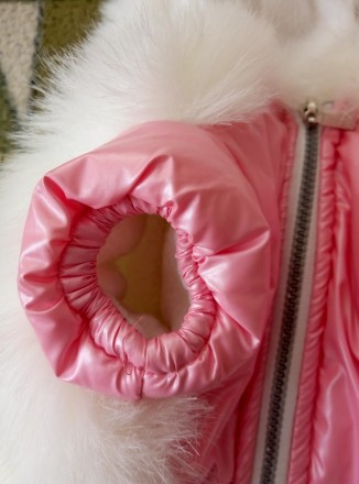 Продам Зимний пуховик-куртка, для собачки мелкой породы, для девочки. Состояние . . фото 5