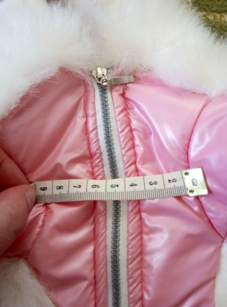 Продам Зимний пуховик-куртка, для собачки мелкой породы, для девочки. Состояние . . фото 10