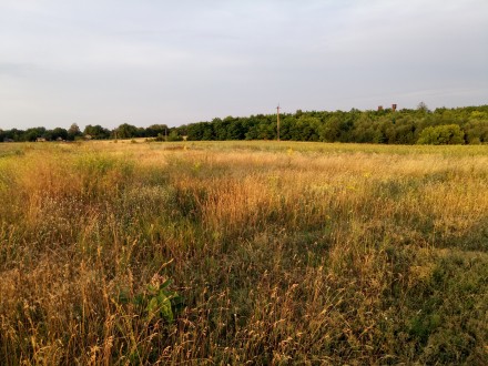Земельна ділянка розташована в Кагарлицькому районі,  с.  Гребені. Поруч ліс,  д. . фото 3
