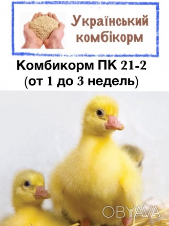 Комбікорм для качок та гусей ПК 21-2 (від 1 до 3 тиж.)
Комбікорм для качок та г. . фото 1