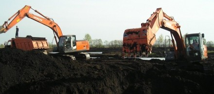 Чернозем (Растительный грунт) - это тип почвы, окрашенный в черный цвет. Его при. . фото 4