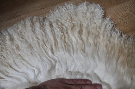 Новые, натуральные овечьи шкуры для изготовления кукольных париков от производит. . фото 5