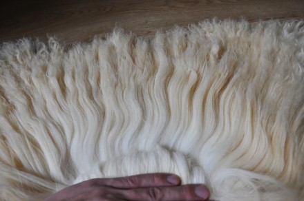 Новые, натуральные овечьи шкуры для изготовления кукольных париков от производит. . фото 10