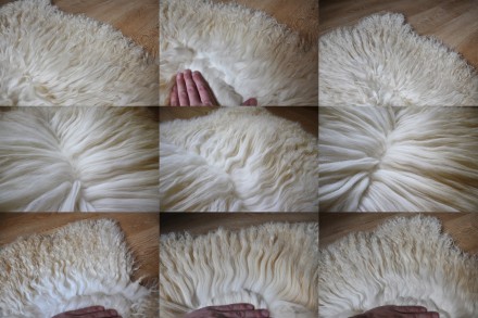 Новые, натуральные овечьи шкуры для изготовления кукольных париков от производит. . фото 2