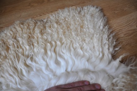 Новые, натуральные овечьи шкуры для изготовления кукольных париков от производит. . фото 3