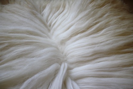 Новые, натуральные овечьи шкуры для изготовления кукольных париков от производит. . фото 11