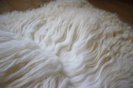 Новые, натуральные овечьи шкуры для изготовления кукольных париков от производит. . фото 8