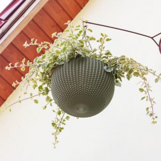 " Вазон Keter Hanging Sphere Planter "

Горшки как декоративные элементы, уста. . фото 11