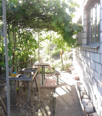 Продается отличная дача с домиком в садовом обществе Садовод недалеко от озера М. Пролетарский Гай. фото 5