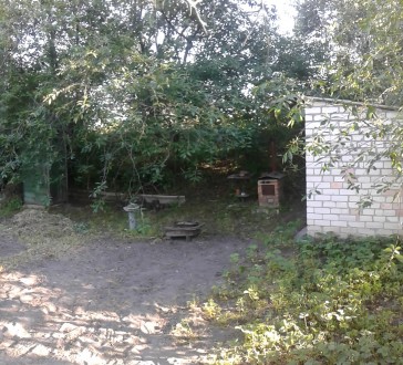 Продается отличная дача с домиком в садовом обществе Садовод недалеко от озера М. Пролетарский Гай. фото 4