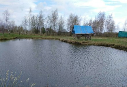 Приватизированный земельный участок с родниковым озером, хорошей экологией в дал. Деснянка. фото 10