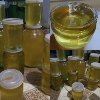 Пропоную мед на різний смак:

Цвіточний/майський;
Акація;
Липа; 
Різнотрав'. . фото 3