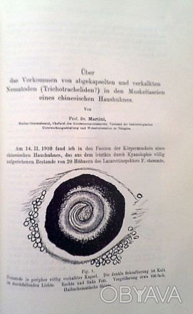 издание 1896 г  berlin  verlag von veit comp  на немецком. . фото 1