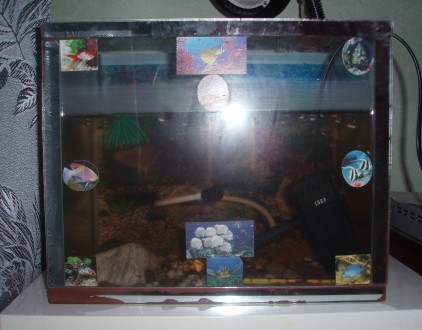 Продам акваріум з рибками (гупії), разом з обігрівачем, градусником, камінцями. . . фото 2