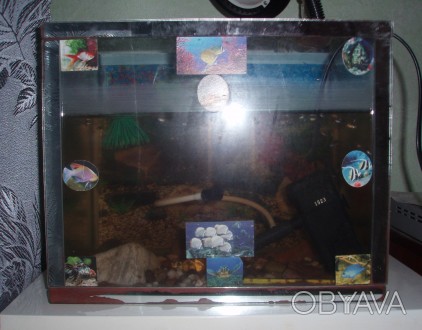 Продам акваріум з рибками (гупії), разом з обігрівачем, градусником, камінцями. . . фото 1