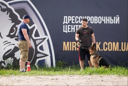 Дрессировка собак в Ирпене, Буче, Гостомеле и по всей Киевской области.

Все п. . фото 7