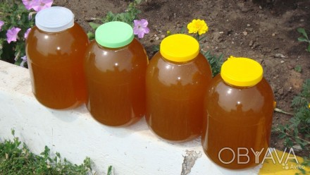 Продам мед, зібраний у вересні (зі всього, що цвіло літом).
Ціна за 1 літру - 2. . фото 1