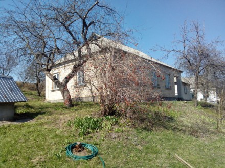 Продам теплий будинок з кримського ракушняка та пустотілої цегли по вулиці Богус. . фото 4