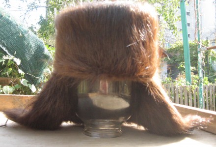 Новая зимняя мужская шапка из меха нутрии.
Мех красивого благородного коричнево. . фото 3